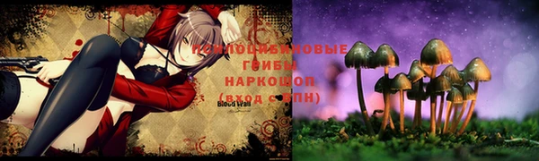 прущая мука Белокуриха