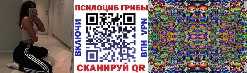 MEGA как войти  Видное  Галлюциногенные грибы Cubensis 