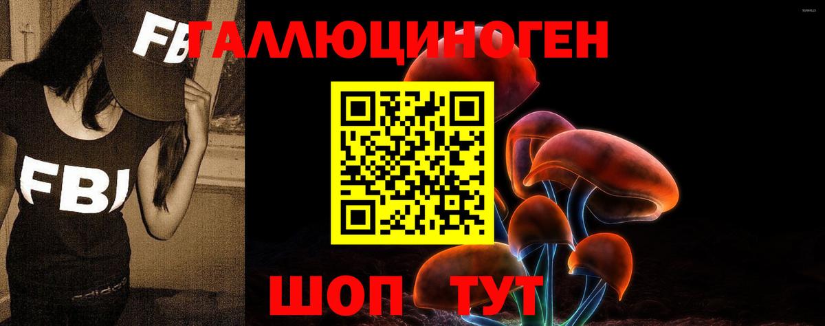 Псилоцибиновые грибы Magic Shrooms Видное