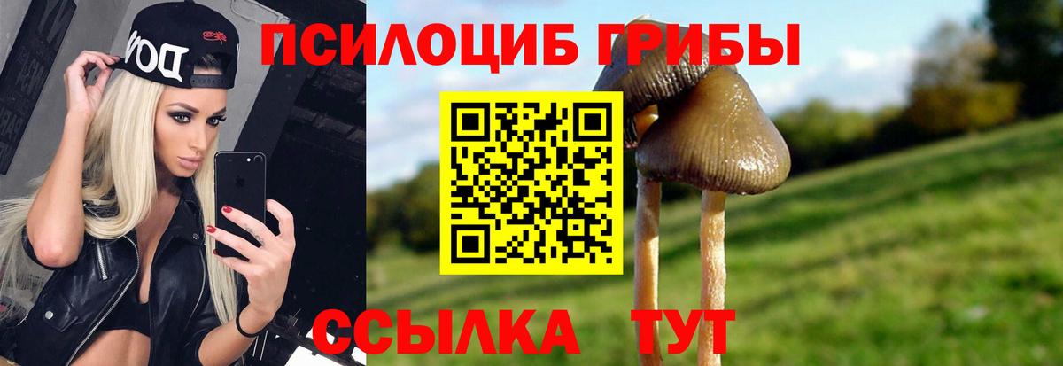 Видное  цены   Вход с VPN  Псилоцибиновые грибы мухоморы 